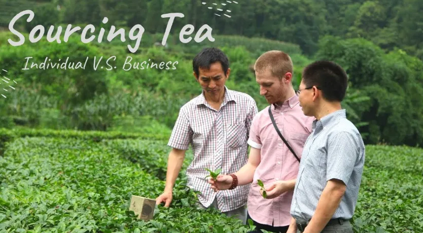 Como obter o chá da China Supplier Identification & Vetting - o mergulho profundo ESG

 
 
 